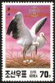 Colnect-1614-815-Oriental-White-Stork-Ciconia-ciconia-boyciana.jpg