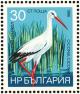 Colnect-1976-614-White-Stork-Ciconia-ciconia.jpg