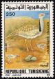 Colnect-4515-275-Houbara-Bustard-Chlamydotis-undulata.jpg