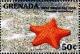 Colnect-4553-302-West-Indian-sea-star.jpg
