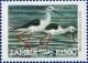 Colnect-488-975-Black-winged-Stilt%C2%A0Himantopus-himantopus.jpg