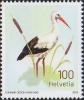Colnect-1721-597-White-Stork-Ciconia-ciconia.jpg
