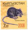 Stamp_of_Kyrgyzstan_chychkan.jpg