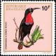 Colnect-1780-787-Scarlet-chested-Sunbird-Nectarinia-senegalensis.jpg
