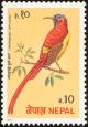 Colnect-1785-949-Fire-tailed-Sunbird-Aethopyga-ignicauda.jpg