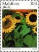 Colnect-4182-784-Large-Sunflowers-I-by-Nolde.jpg