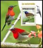Colnect-6016-692-Green-tailed-Sunbird-Aethopyga-nipalensis.jpg