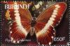 Colnect-1593-009-Narrow-banded-Swallowtail-Papilio-gallienus.jpg