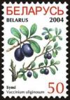 Colnect-1058-274-Blueberries---Vaccinium-uliginosum-.jpg
