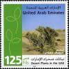 Colnect-1384-856-Desert-plants-in-the-UAE---Lycium-shawii.jpg