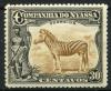 Colnect-1774-627-Plains-Zebra-Equus-quagga.jpg