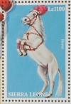 Colnect-1873-938-Horse-Equus-ferus-caballus-Dressage.jpg