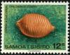 Colnect-2613-291-Children-s-Cowry-Cypraea-childreni.jpg