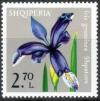 Colnect-2742-363-Grass-Iris-Iris-graminea.jpg