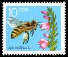 Colnect-357-592-Honey-Bee-Apis-mellifica-Blooming-Heather.jpg