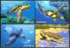 Colnect-4049-527-Various-Sea-Turtles-Species.jpg