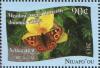 Colnect-4821-995-Meadow-Argus-Butterfly-Junonia-villida.jpg