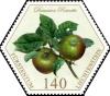 Colnect-5277-440-Apples---Damason-Reinette.jpg