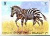 Colnect-5349-636-Plains-Zebra-Equus-quagga.jpg