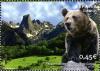 Colnect-613-371-National-Park-of-Picos-de-Europa-Brown-Bear-Ursus-arctos.jpg