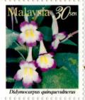 Colnect-2004-250-Highland-Flowers--Didymocarpus-quinquevulners.jpg