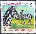 Colnect-2249-612-Plains-Zebra-Equus-quagga.jpg
