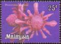 Colnect-3134-241-Flowers--Phaeomeria-speciosa.jpg