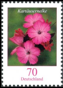 Colnect-4295-640-Dianthus-carthusianorum---Pink.jpg