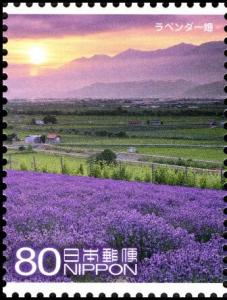 Colnect-5041-607-Fields-of-Lavender-Furano.jpg