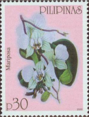 Colnect-2898-659-Philippine-Orchids---19th-cent-European-Old-Prints.jpg