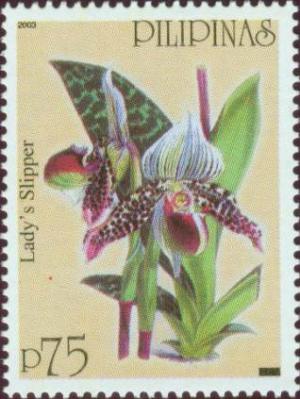 Colnect-2898-678-Philippine-Orchids---19th-cent-European-Old-Prints.jpg