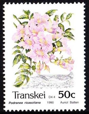 Colnect-2986-308-Flowers-Podranea-ricasoliana.jpg