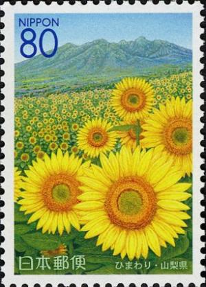 Colnect-3984-978-Sunflowers---Yatsugatake-Mountains.jpg