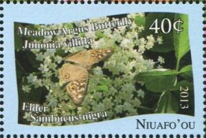 Colnect-4821-991-Meadow-Argus-Butterfly-Junonia-villida.jpg