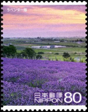 Colnect-5041-606-Fields-of-Lavender-Furano.jpg