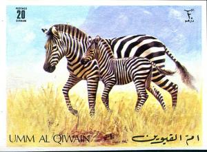 Colnect-5349-636-Plains-Zebra-Equus-quagga.jpg