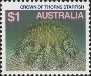 Colnect-5910-573-Crown-of-thorns-Starfish-Acanthaster-planci-.jpg