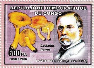 Colnect-5968-889-Louis-Pasteur-1822-1895.jpg