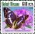 Colnect-5414-137-Apatura-iris-and-Rhododendron-ponticum.jpg