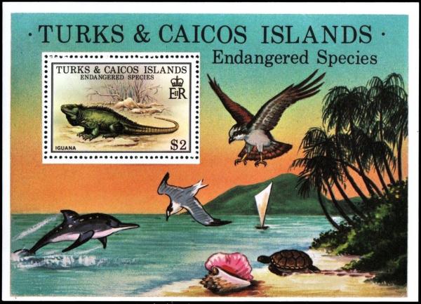 Colnect-3083-154-Turks-and-Caicos-Rock-Iguana-Cyclura-carinata.jpg