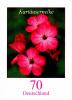 Colnect-5260-787-Dianthus-carthusianorum---Pink.jpg