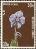 Colnect-4968-142-Flowers--Meconopsis-grandis.jpg