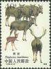 Colnect-1480-068-Pere-David--s-Deer-Elaphurus-davidianus.jpg