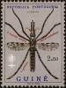 Colnect-4489-191-Anopheles-Mosquito-Anopheles-sp.jpg