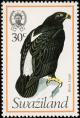 Colnect-1661-880-Verreaux--s-Eagle-Aquila-verreauxii.jpg