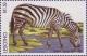 Colnect-1736-221-Plains-Zebra-Equus-quagga.jpg