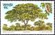 Colnect-6192-859-Trees-Afzelia-quanzensis.jpg