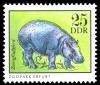 Colnect-1979-679-Pygmy-Hippopotamus-Choeropsis-liberiensis-.jpg