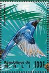 Colnect-2376-007-Swallow-Tanager-Tersina-viridis.jpg