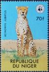 Colnect-2431-253-Cheetah-Acinonyx-jubatus.jpg